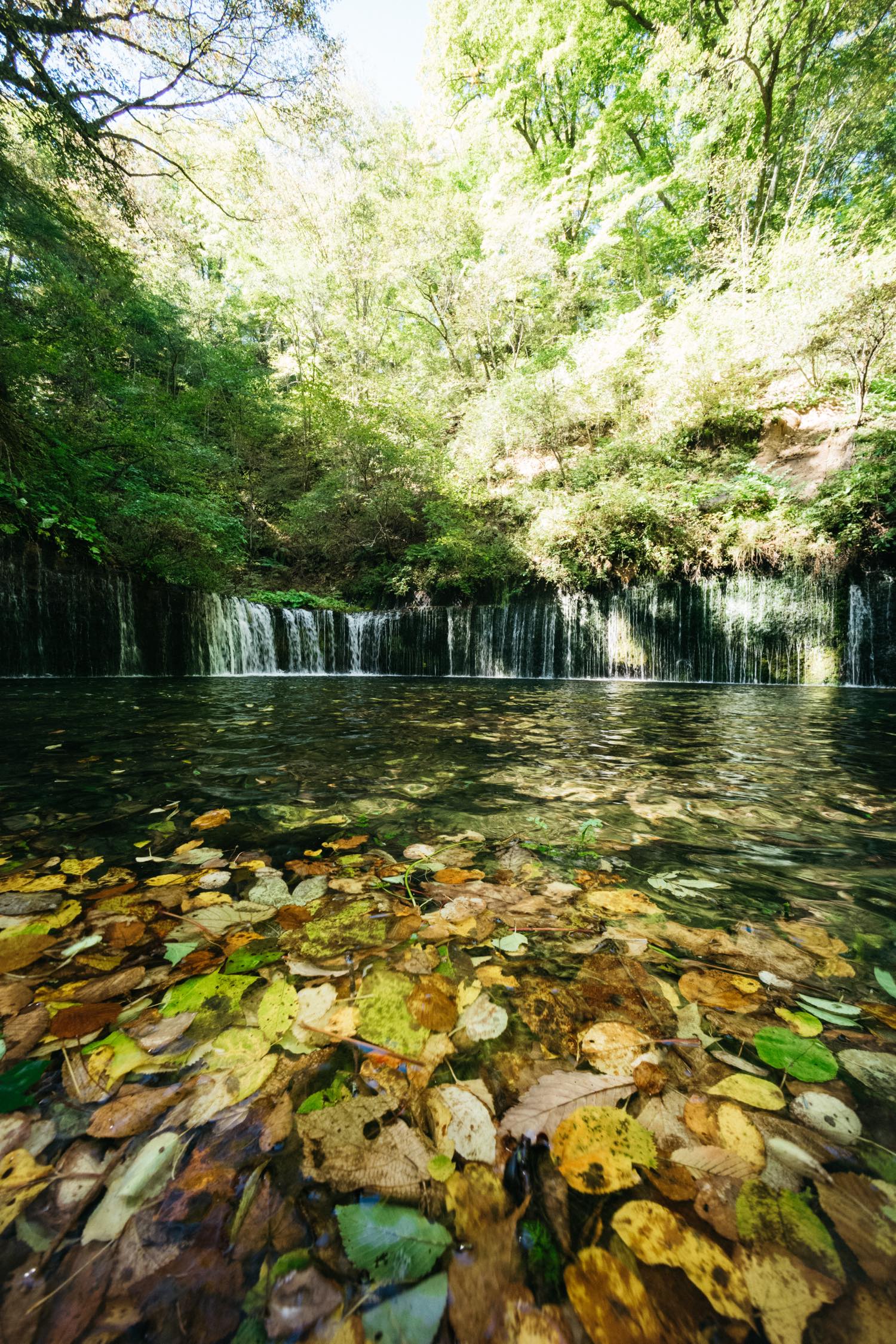 フォクトレンダー Ultrawide-Heliar 12mm F5.6